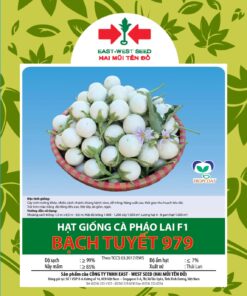 Hạt giống Cà Pháo
