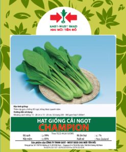 Hạt giống cải ngọt
