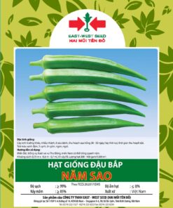 Hạt giống đậu bắp