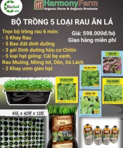 BỘ TRỒNG RAU 5 MÓN