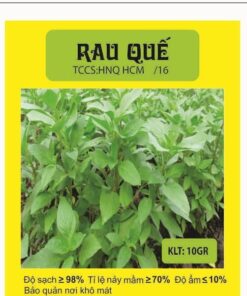 Hạt giống rau quế (5gr)