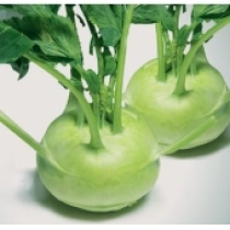 Hạt giống su hào (1gr)